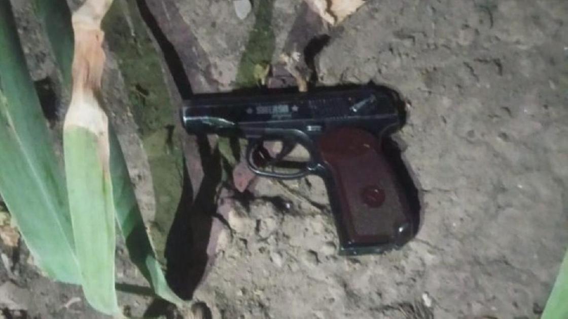 Пистолет лежит в кустах в Шымкенте