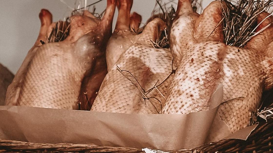 Тушки гусей