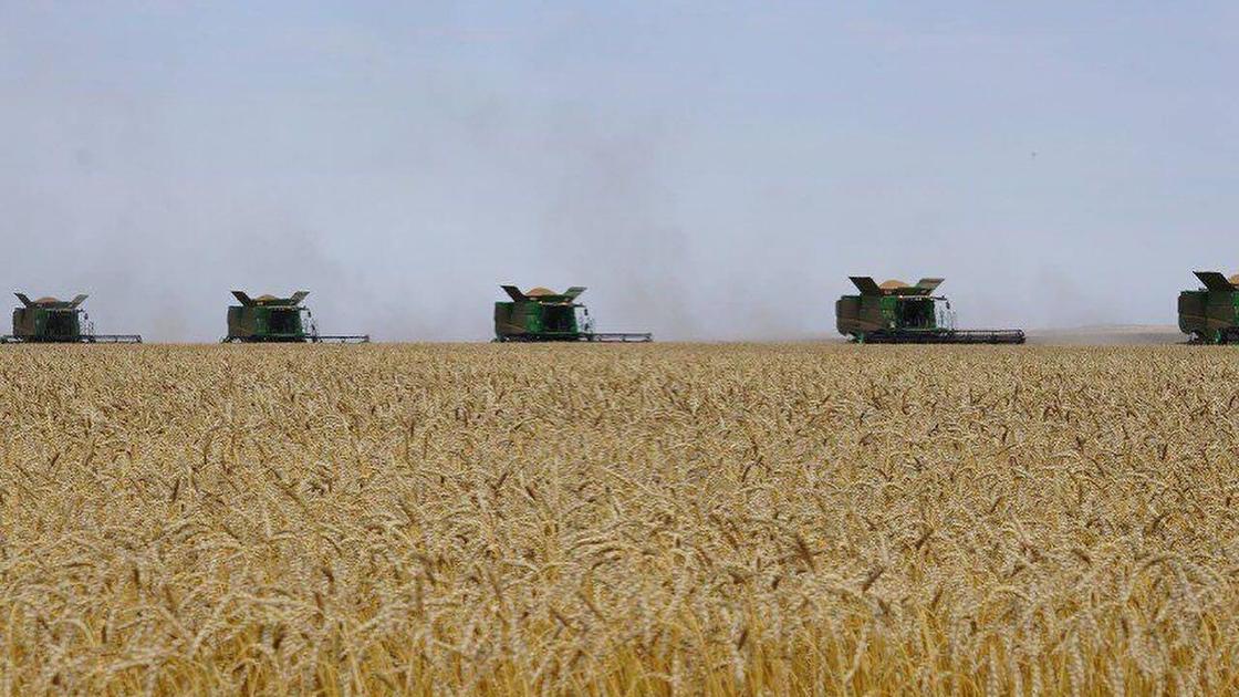 Зерноуборочные работы