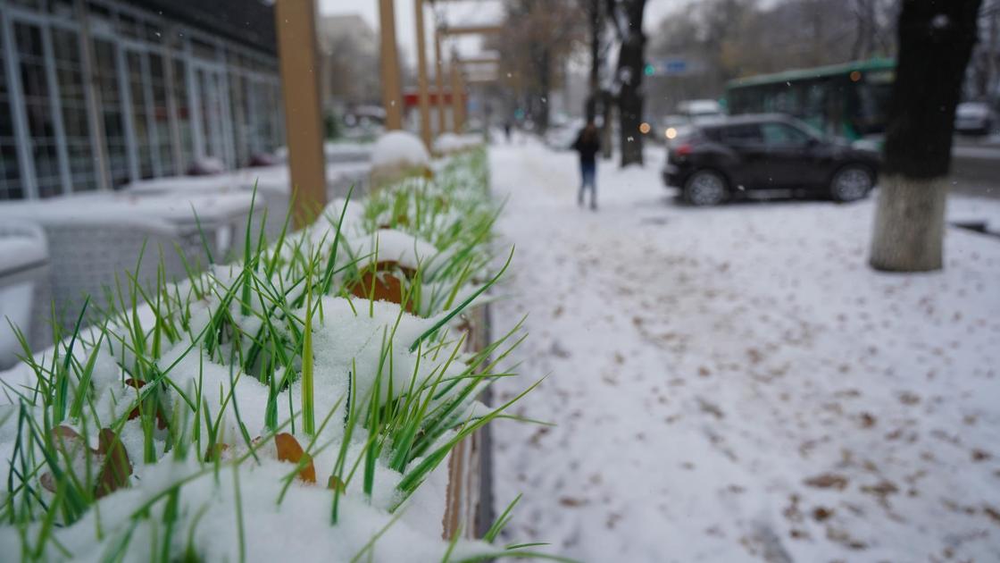 Искусственная трава под снегом