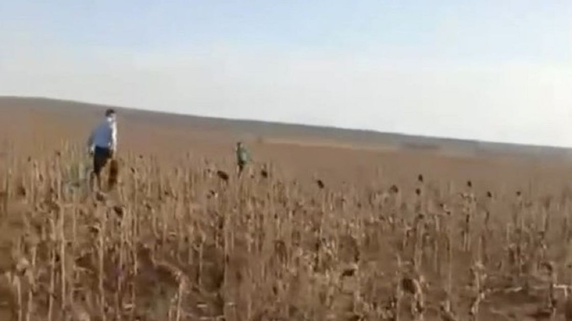Ребенок в поле