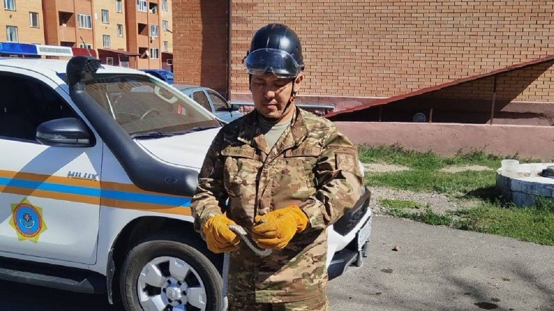 Спасатель со змеей