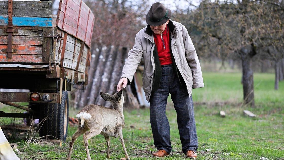 Зейнеткер ер адам