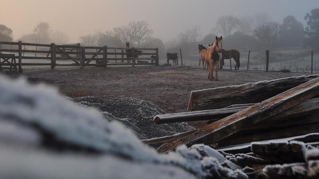 Загон для лошадей зимой