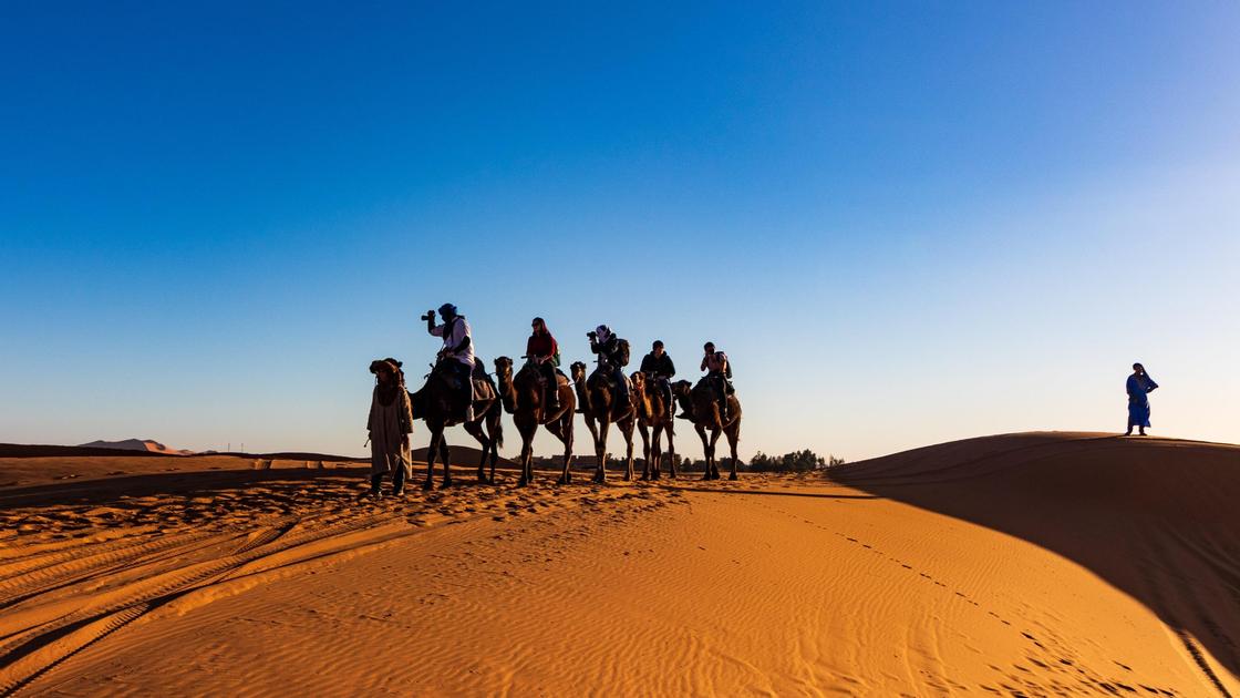 Люди на верблюдах в пустыни