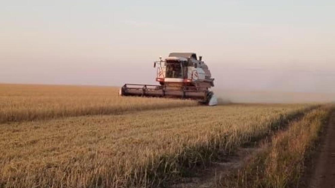 Работа в поле