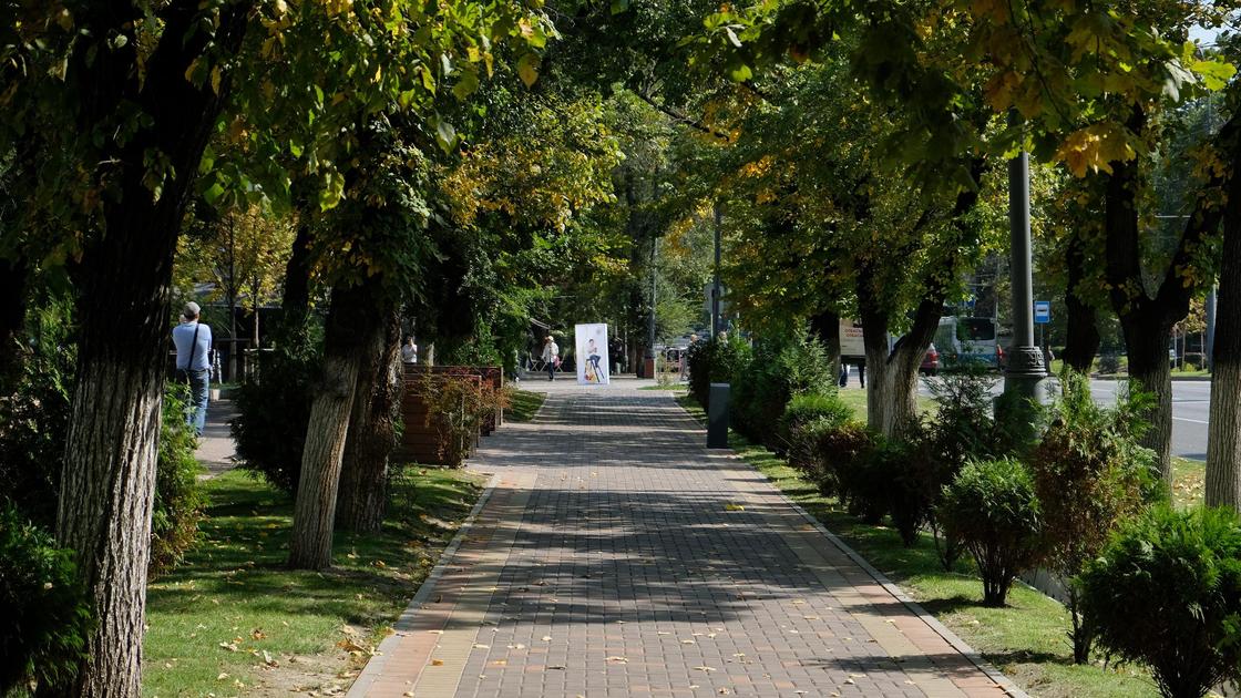 қала көшесі