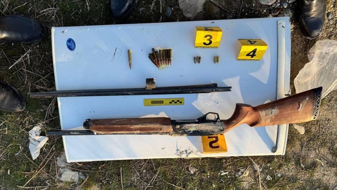 Украденное оружие