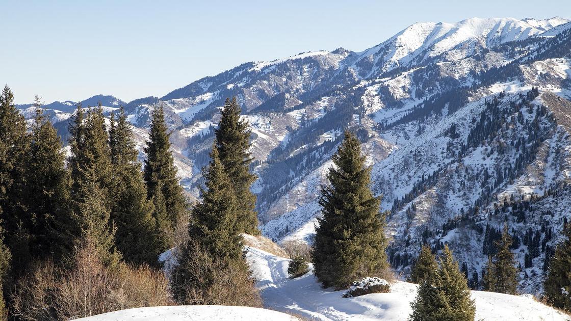 Вид на горы Алматы