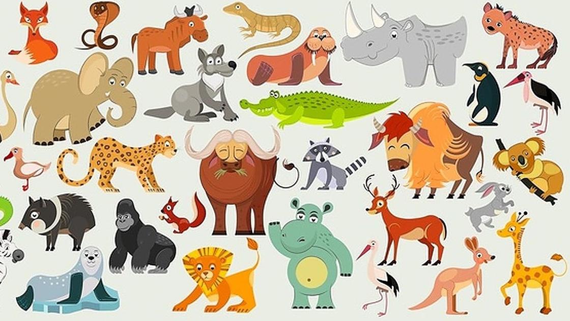 Животные на рисунке