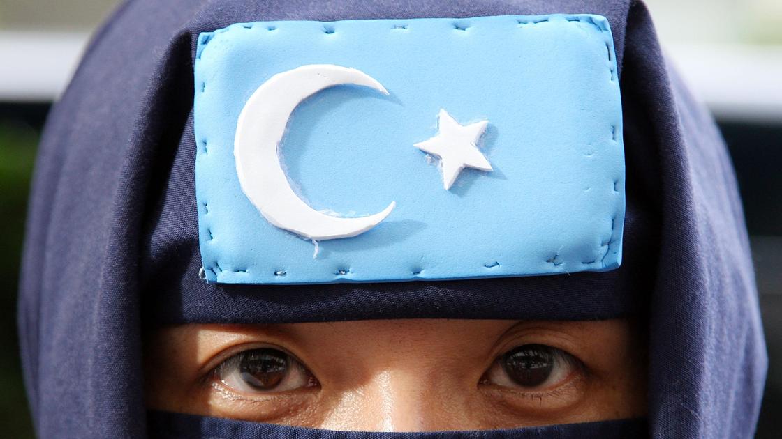 Флаг Восточного Туркестана