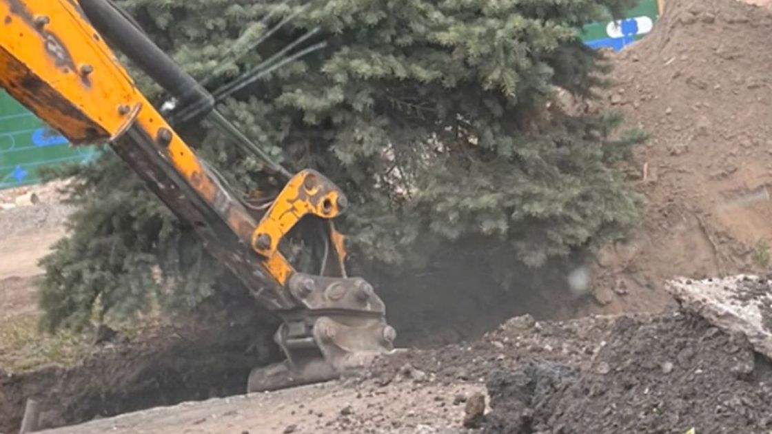 Ели в Алматы