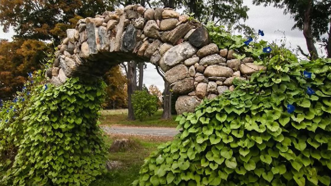 Каменная арка заросла вьющимися растениями