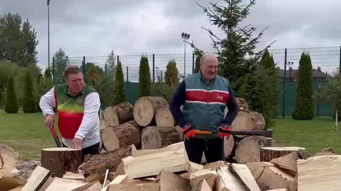 Александр Лукашенко рубит дрова