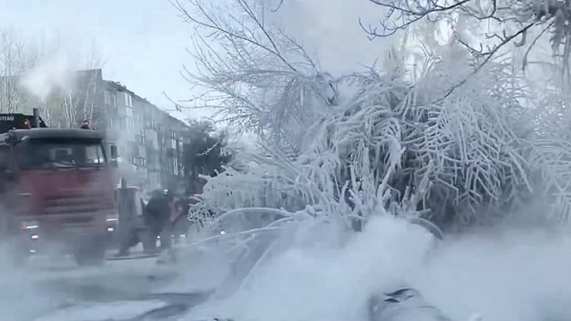 Замерзшие деревья на улице в Экибастузе