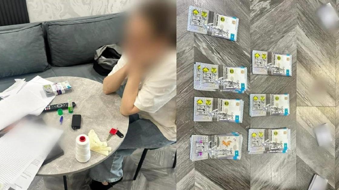 Задержанная в Павлодаре