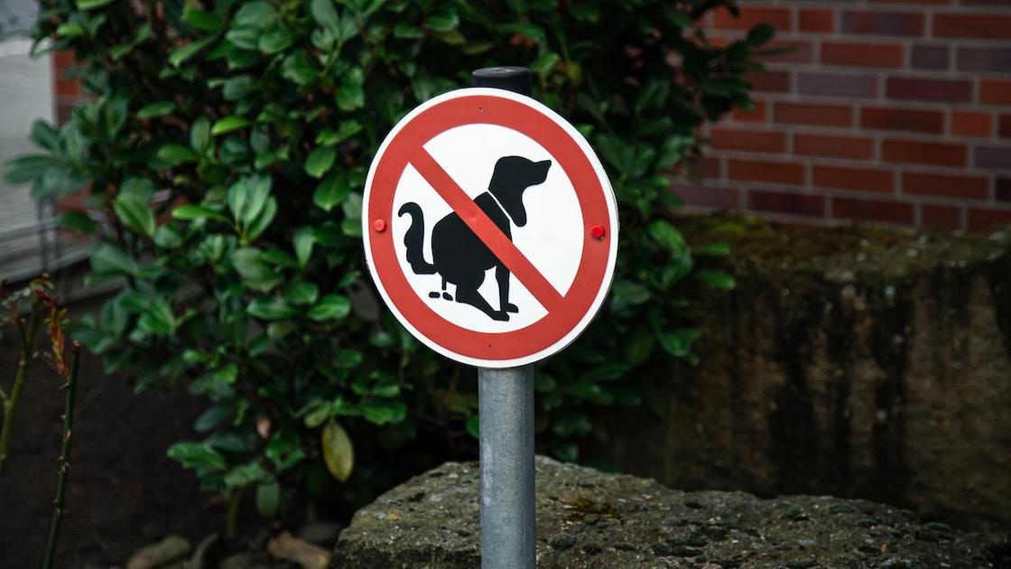 Знак запрета на выгул собак