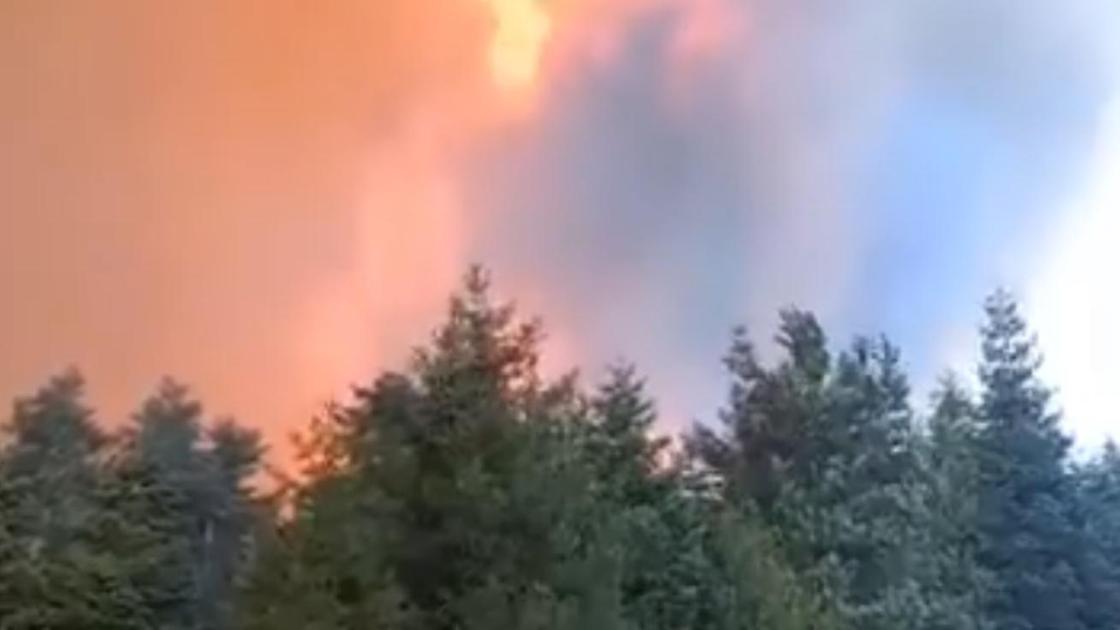 В грузинском Боржоми горит лес