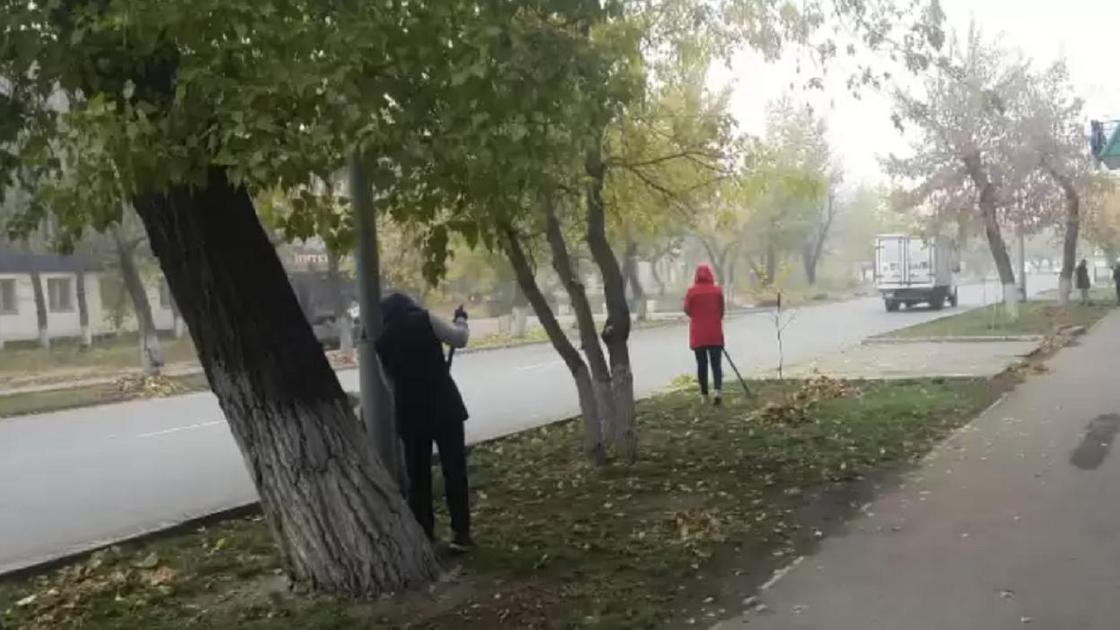 Люди подметают листья на улице