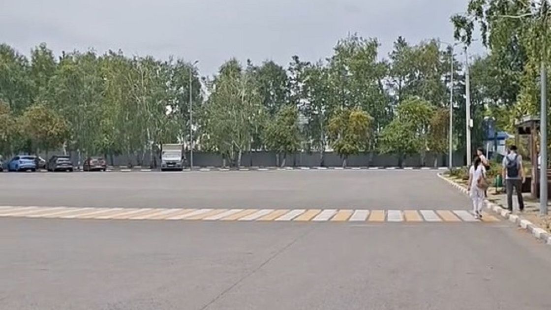 Вид из автобуса