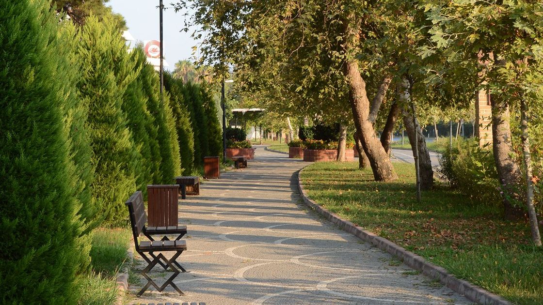 Парк