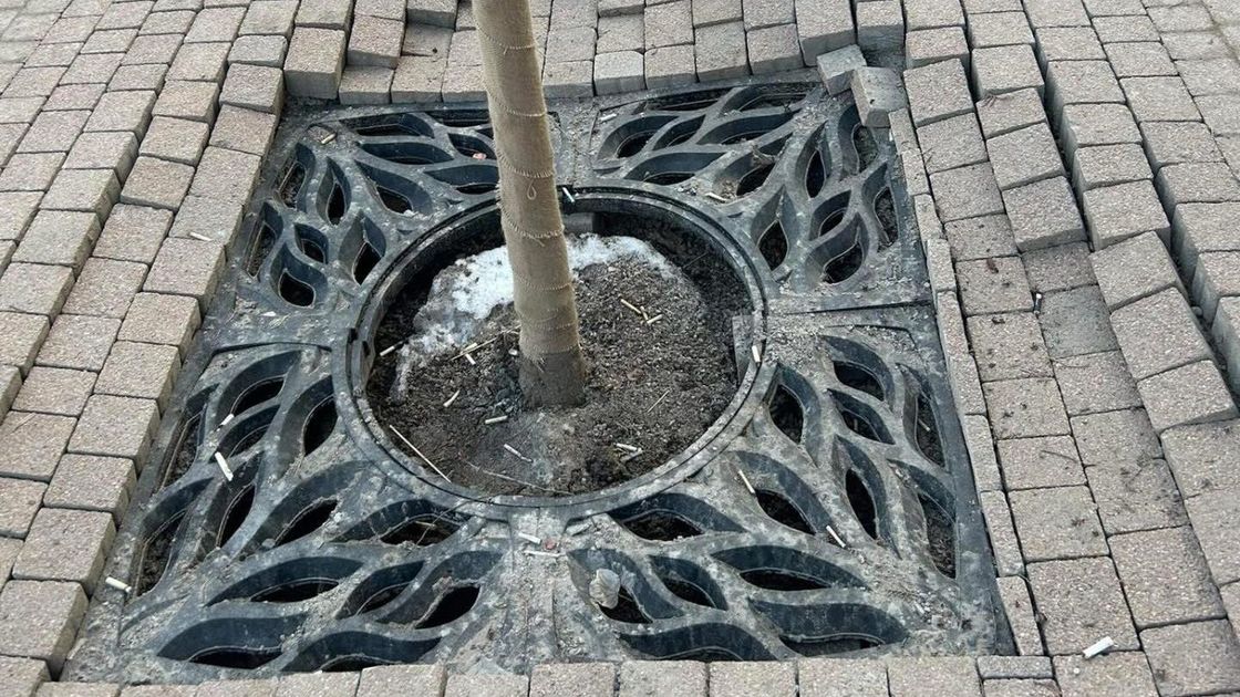 Тротуар по проспекту Достык в Алматы