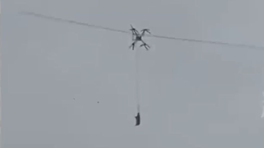 Свинья на дроне