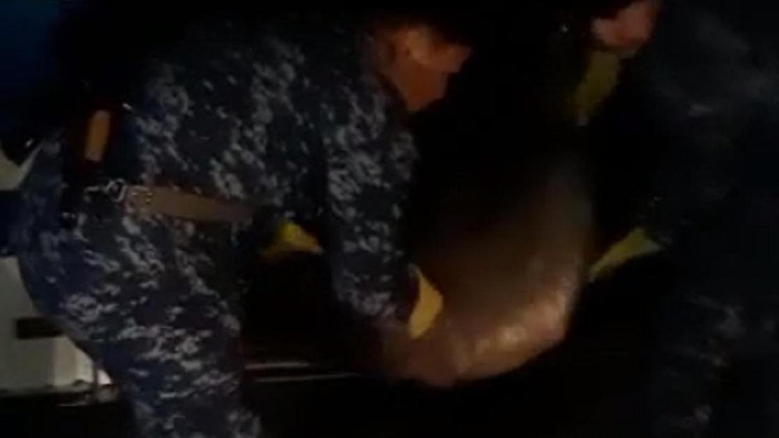 Двое мужчин в форе достают мешки из багажного отделения автобуса