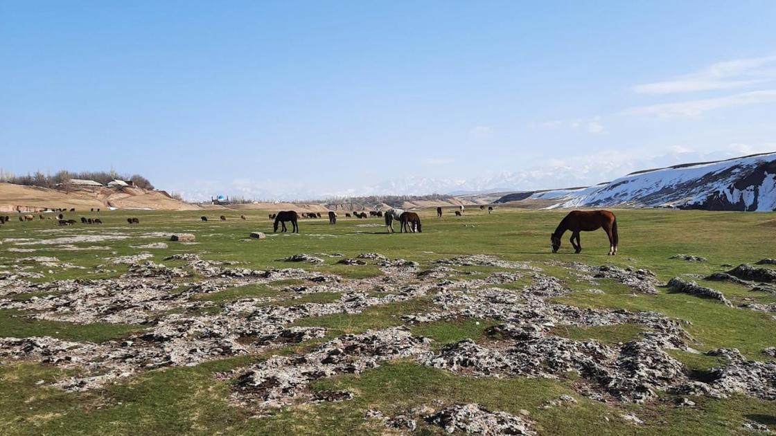 Туркестанская область