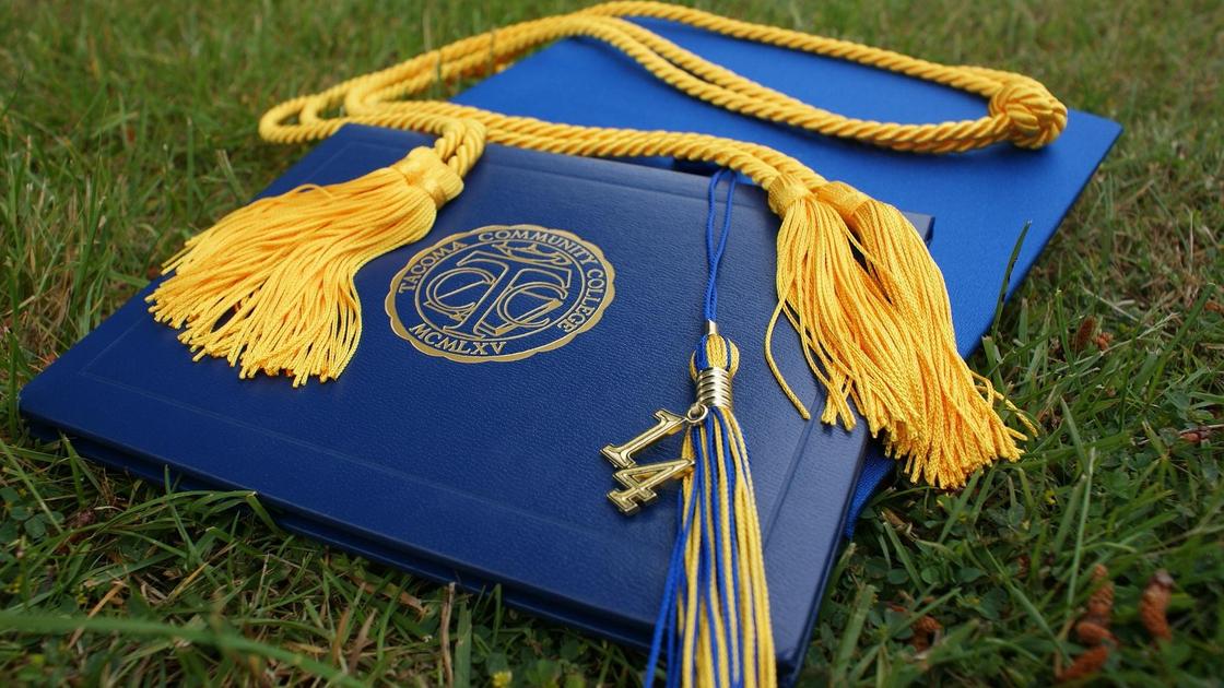Обложки дипломов лежат на траве