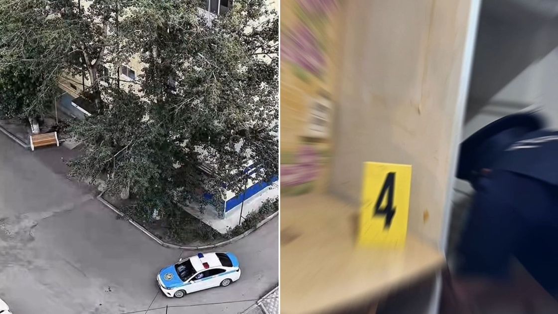 Полиция и следственные действия