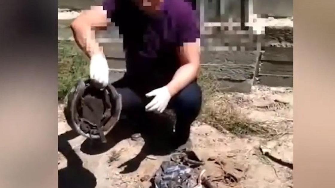 Полицейский показывает найденную амуницию Полицейский показывает найденную амуницию