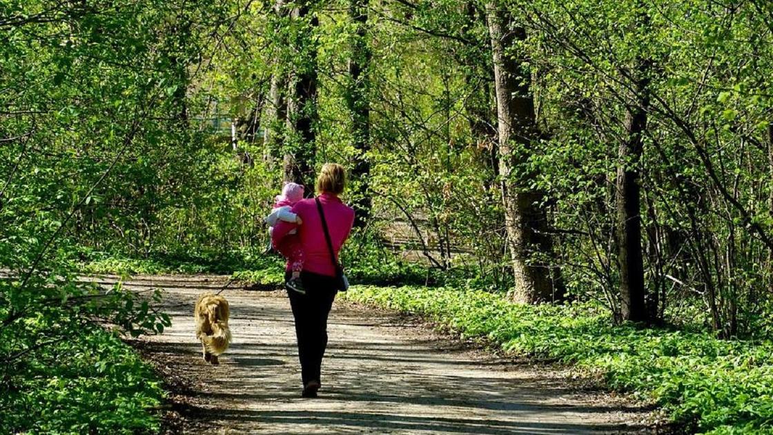 Женщина с ребенком на руках и собакой гуляет по парку