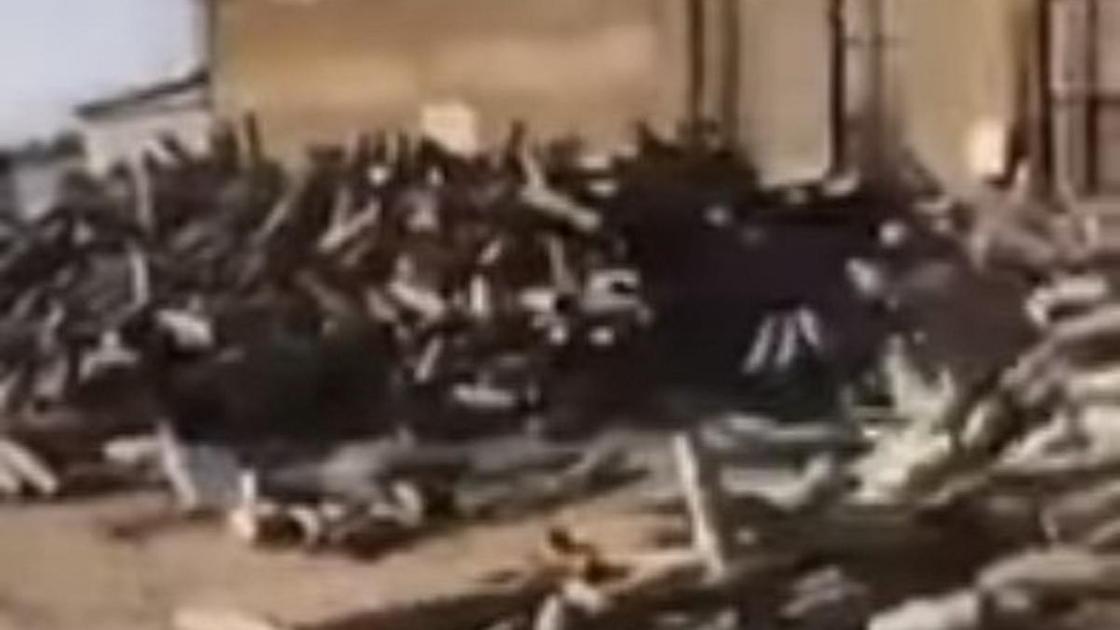 Гильзы от снарядов