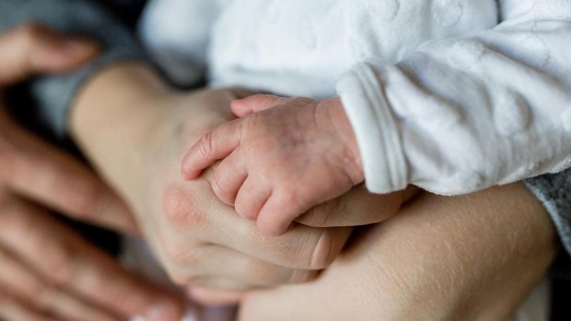 Семья держится за руки