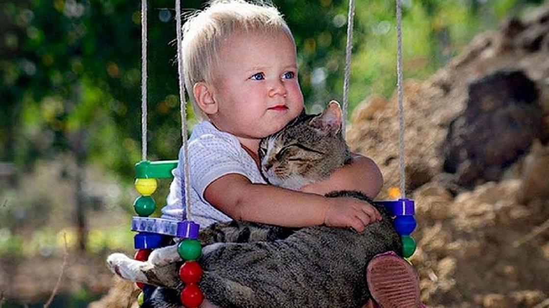 Малыш на качелях обнимает котика