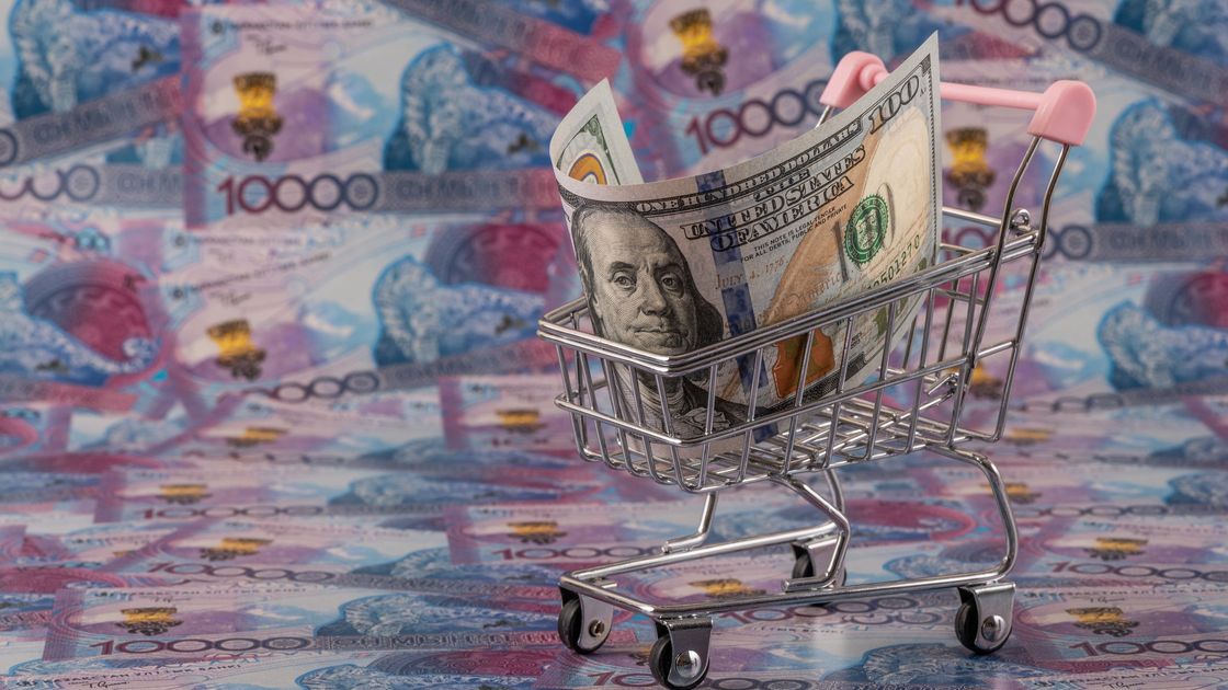 Доллар лежит в миниатюрной тележке для продуктов на фоне купюр тенге