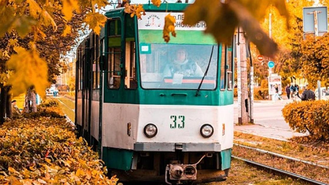 Трамвай едет по осеннему городу