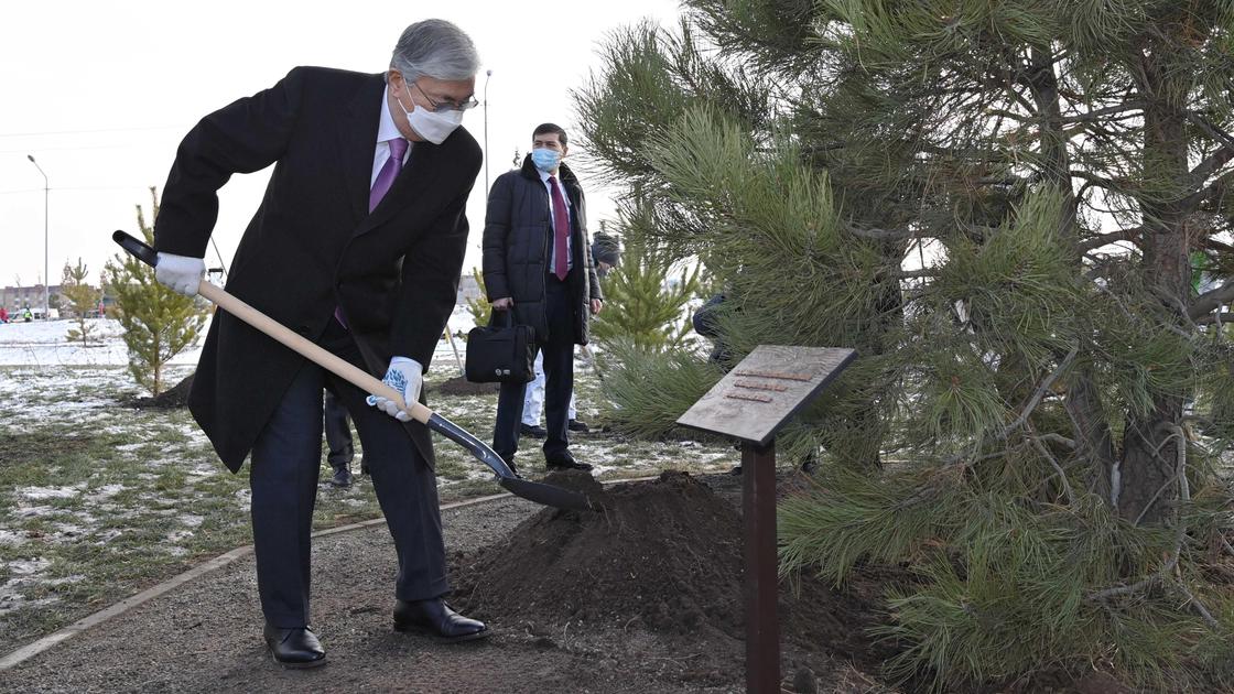 Президент Казахстана Касым-Жомарт Токаев сажает дерево в Алматы