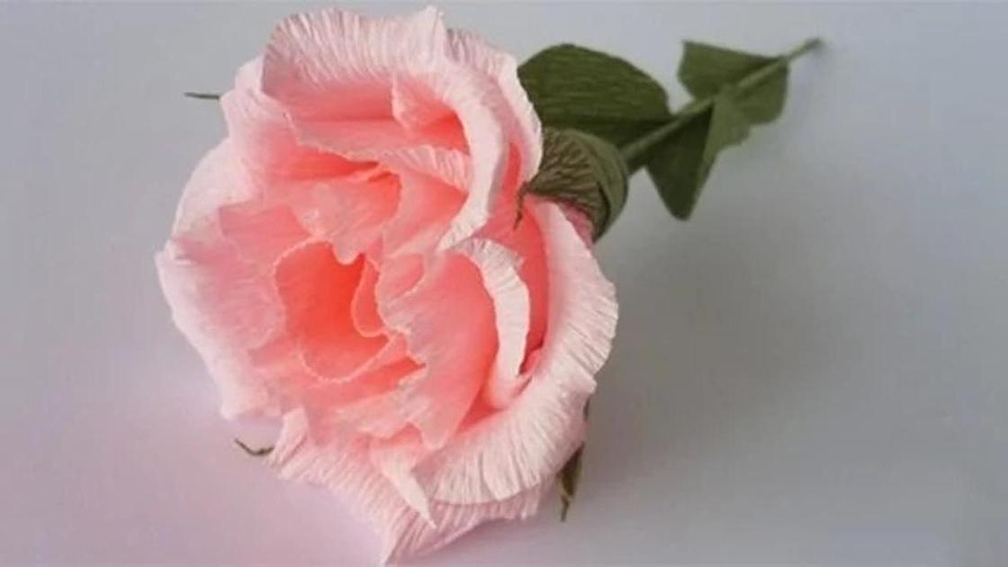роза из бумаги роза из бумаги