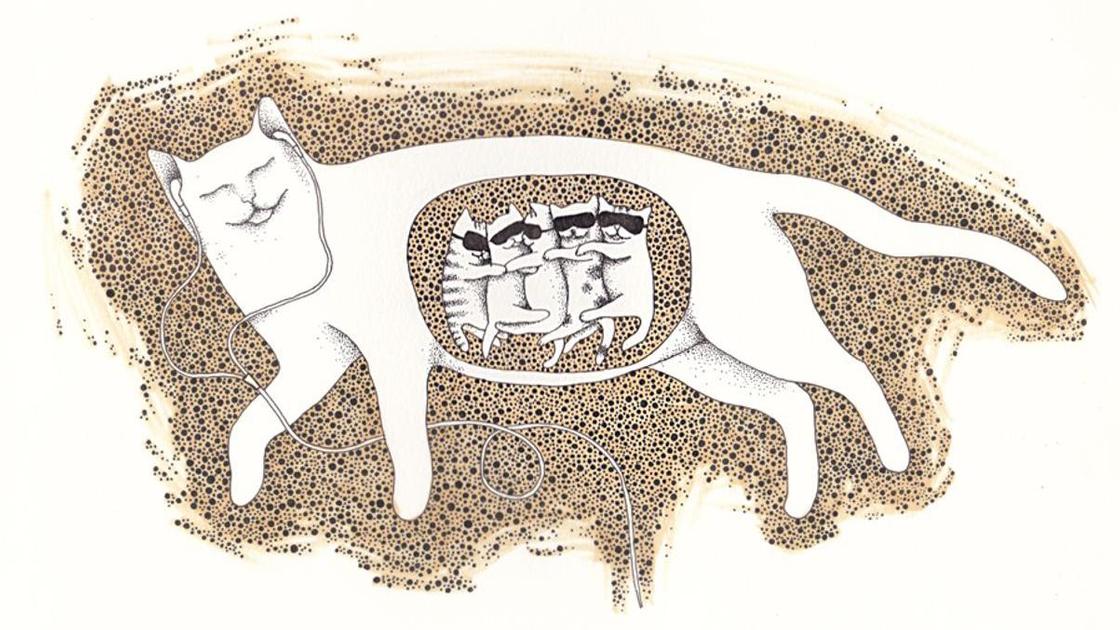 беременная кошка (рисунок) беременная кошка (рисунок)