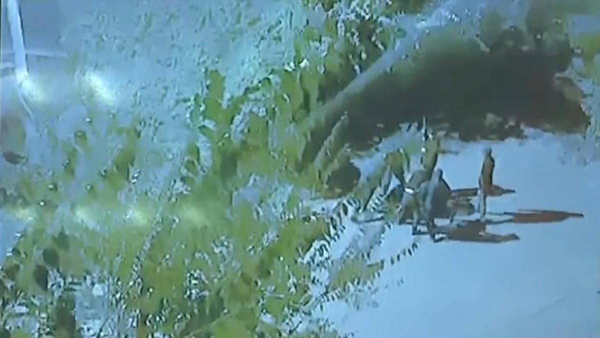 Убийство Шерзата Болата Убийство Шерзата Болата