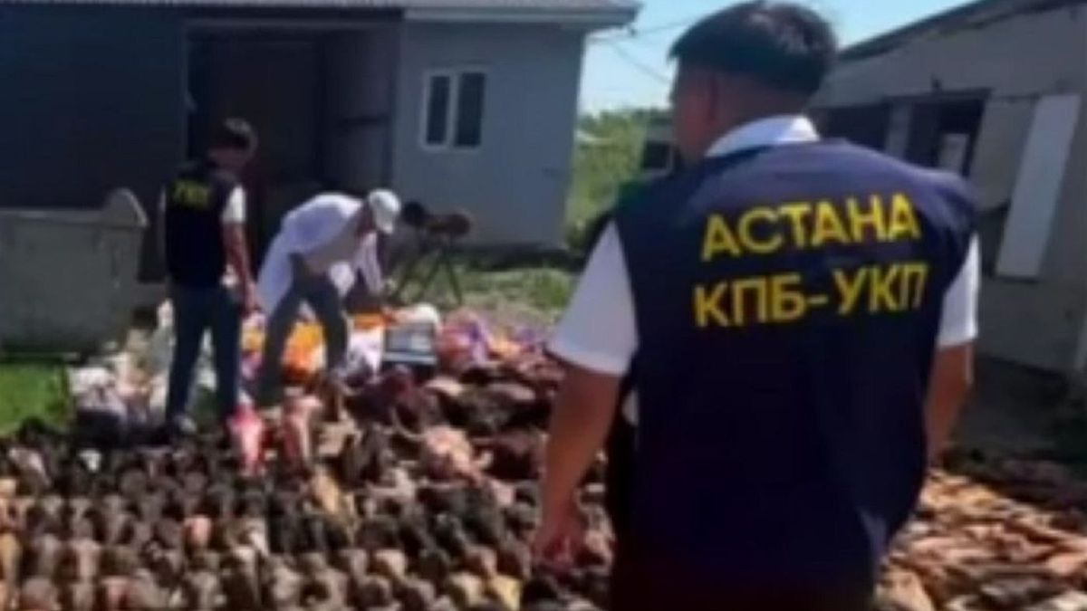 Подпольный цех по производству мясной продукции