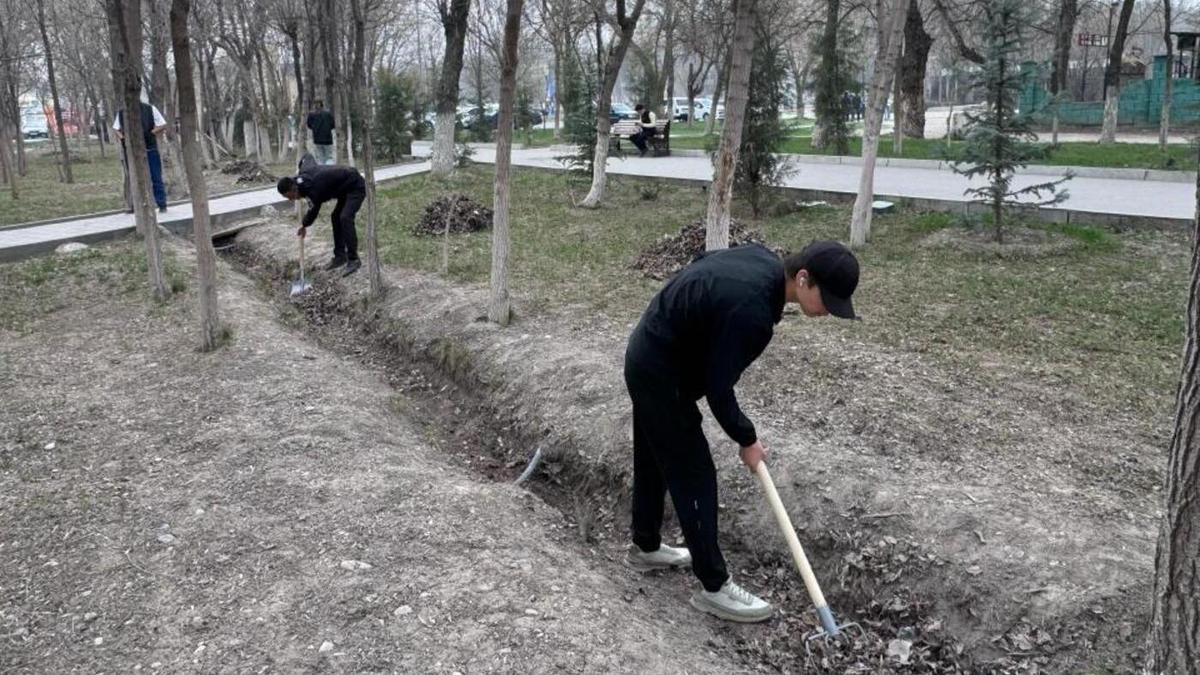 Тараз Тараз