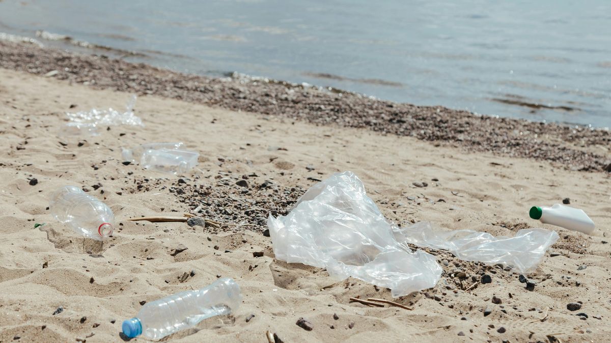 қоқыс толы жағажай