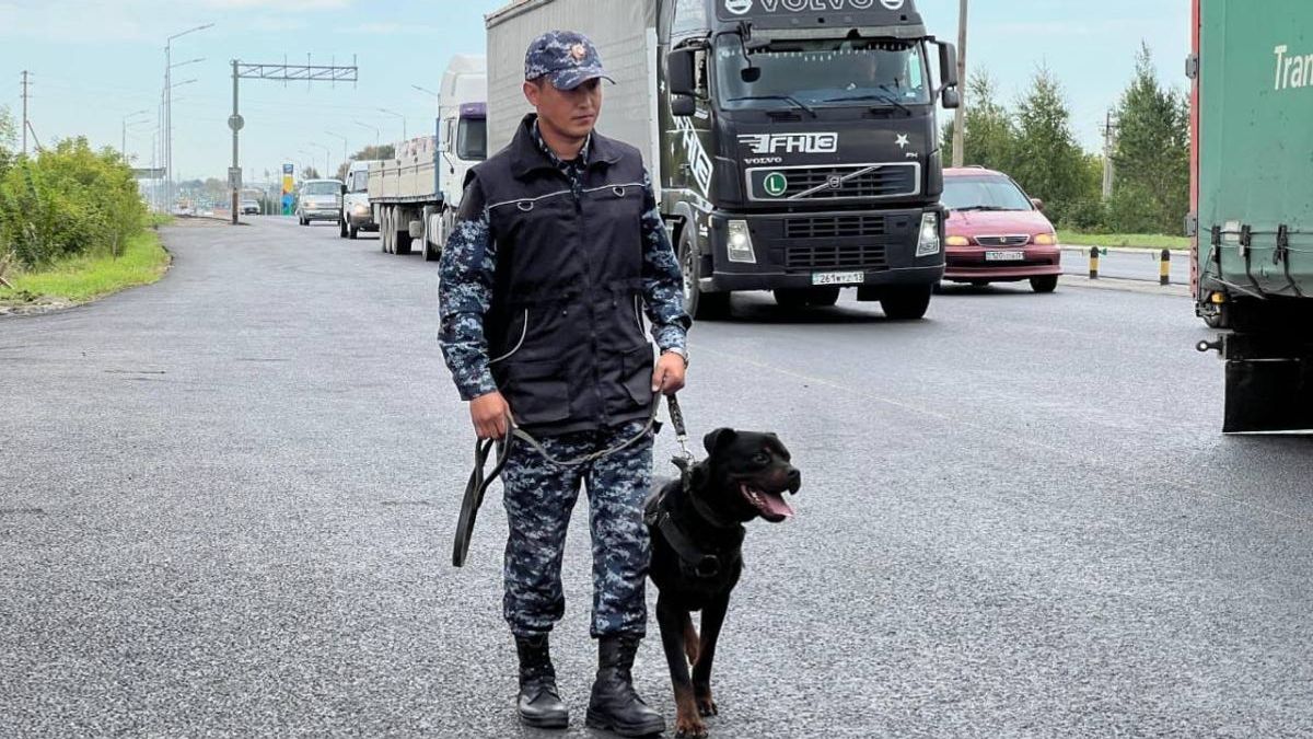 Полицейский со служебной собакой