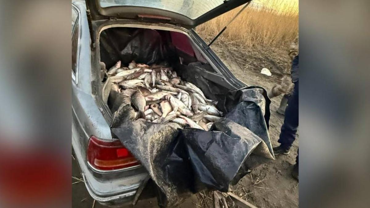 Рыба из озера Зайсан