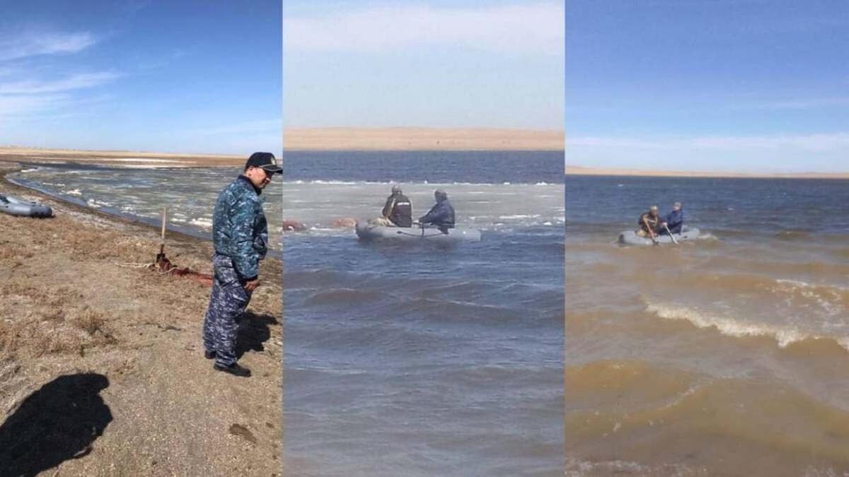 Полицейские вытаскивают из воды туши лошадей