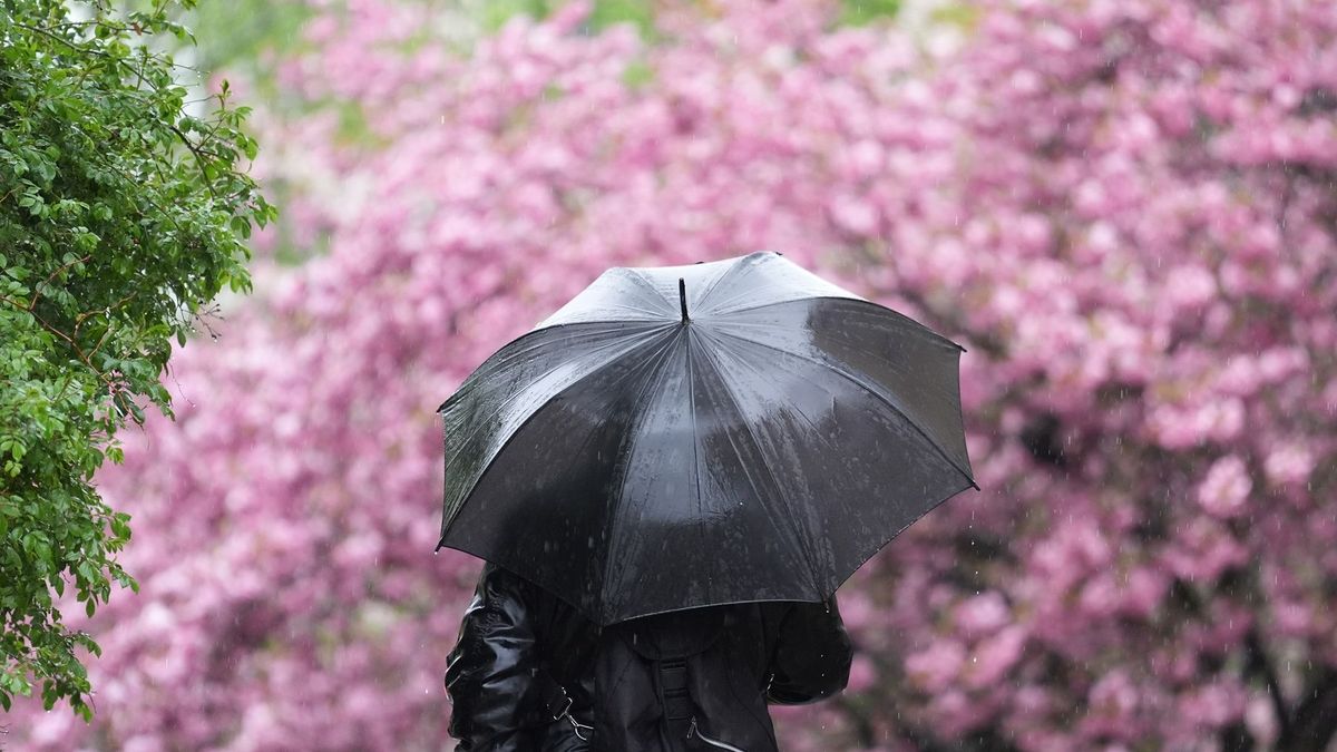 жаңбырлы күн