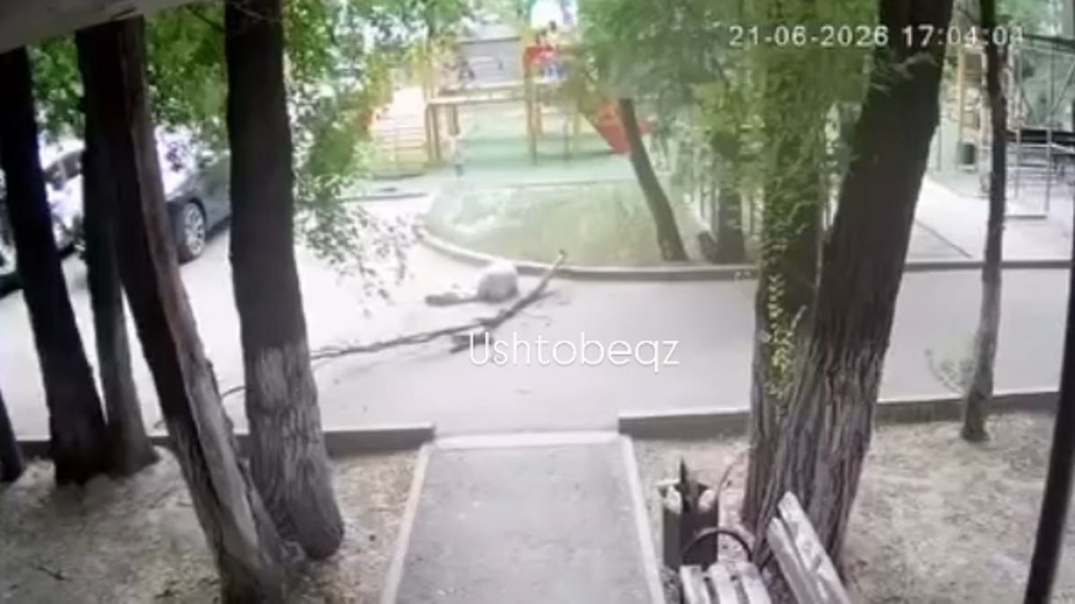 Сухая ветка упала на голову молодой девушки в Жетiсу